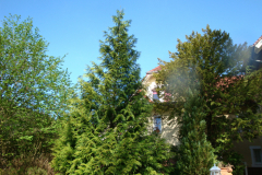 bauphase_2012_10