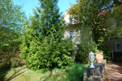 bauphase_2012_11