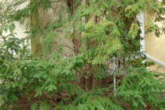 bauphase_2012_14