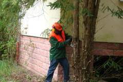 bauphase_2012_25
