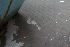 bauphase_2012_253