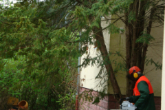 bauphase_2012_26