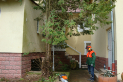 bauphase_2012_30