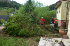 bauphase_2012_36
