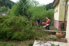 bauphase_2012_38
