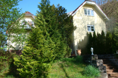 bauphase_2012_5