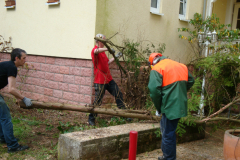 bauphase_2012_52